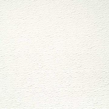TUILE AGROVERRE 2' X 2' X .090'' - BOSSELÉ BLANC