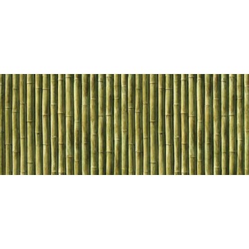 PANNEAU BAMBOO VERT