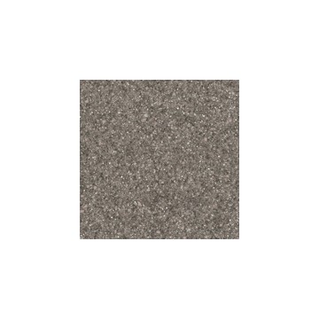 Surface Solide PRISM - Raisin