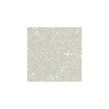 Surface Solide PRISM - Fossil