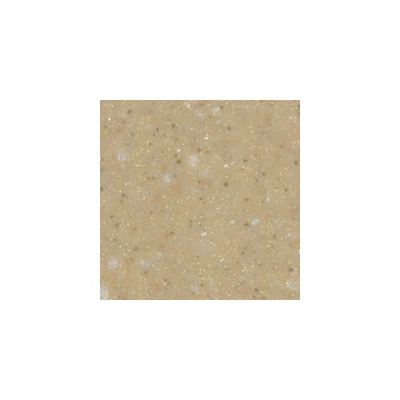 Surface Solide PRISM - Curry