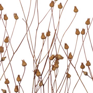 PANNEAU DÉCO TRANSLUCIDE LUXCORE