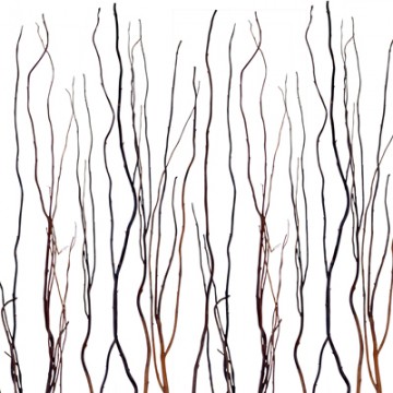 PANNEAU DÉCO TRANSLUCIDE LUXCORE