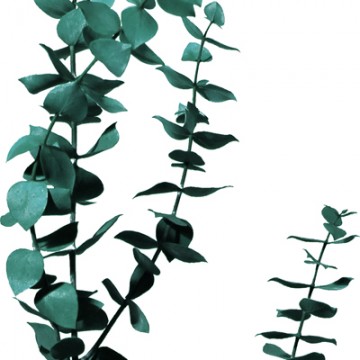 PANNEAU DÉCO LAMINÉ LUXCORE 