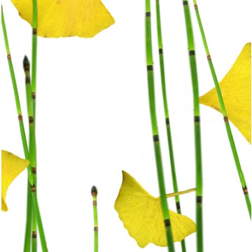 PANNEAU DÉCO LAMINÉ LUXCORE