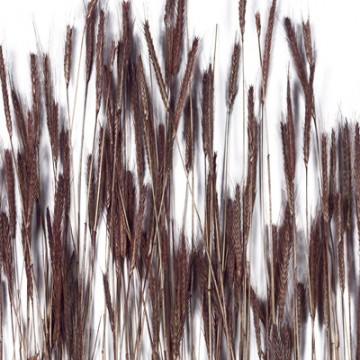 PANNEAU DÉCO LAMINÉ LUXCORE