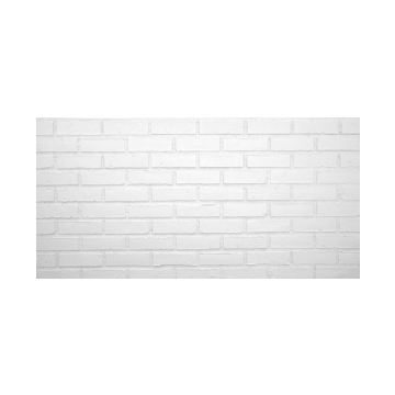 Panneau en imitation brique blanche