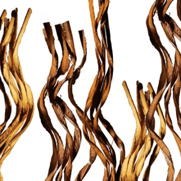 PANNEAU DÉCO TRANSLUCIDE LUXCORE