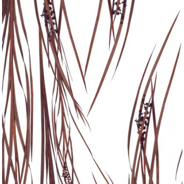 PANNEAU DÉCO TRANSLUCIDE LUXCORE